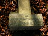 image of grave number 171853